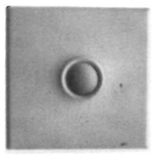 Airmaster 24860 596321 Ceiling Fan Control Up To 10 Amps Gordon