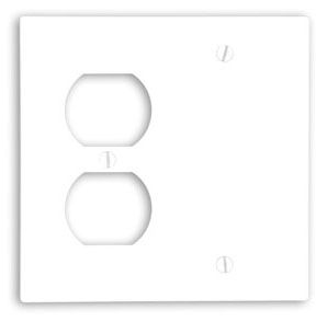 Leviton 88008 2 Gang White Plate Receptacle/Blank
