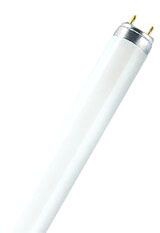 Sylvania 22194 FO25/850/XP/ECO3 Fluorescent Lamp | Gordon