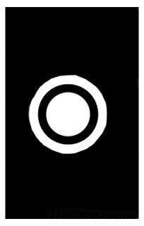 MULBERRY