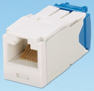 Panduit CJ688TGAW-24 Mini-Com Module Cat 6 Utp 8 Pos 8 Wir | Gordon ...