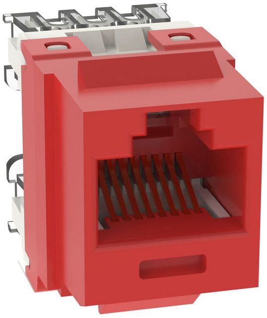 *ニャム*　0608 Panduit NK688MRD NetKey Cat 6 Punchdown Jack Module - Red | Gordon