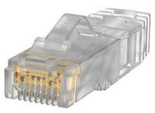 Panduit SP6X88-C 23 Awg, Utp Modular Plug, For Use With P | Gordon