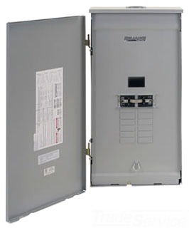 Reliance Controls Panel/Link Transfer Switch TRC1206DR