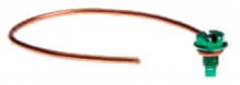 ACORN